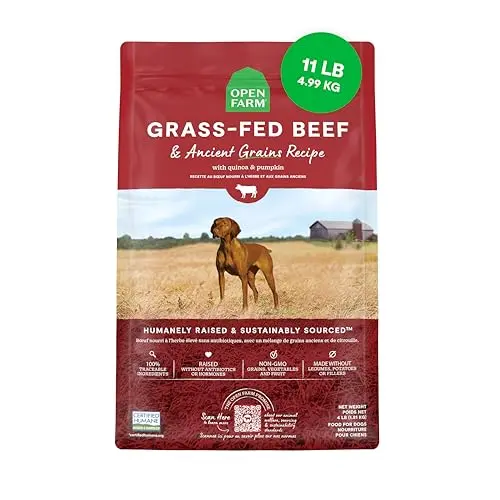 Best Dry Dog Food For Pitbulls - 2026 Reviews - Veggie Pet Food
